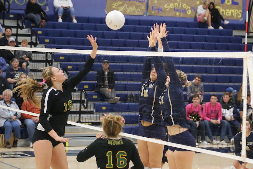 Sonora volleyball